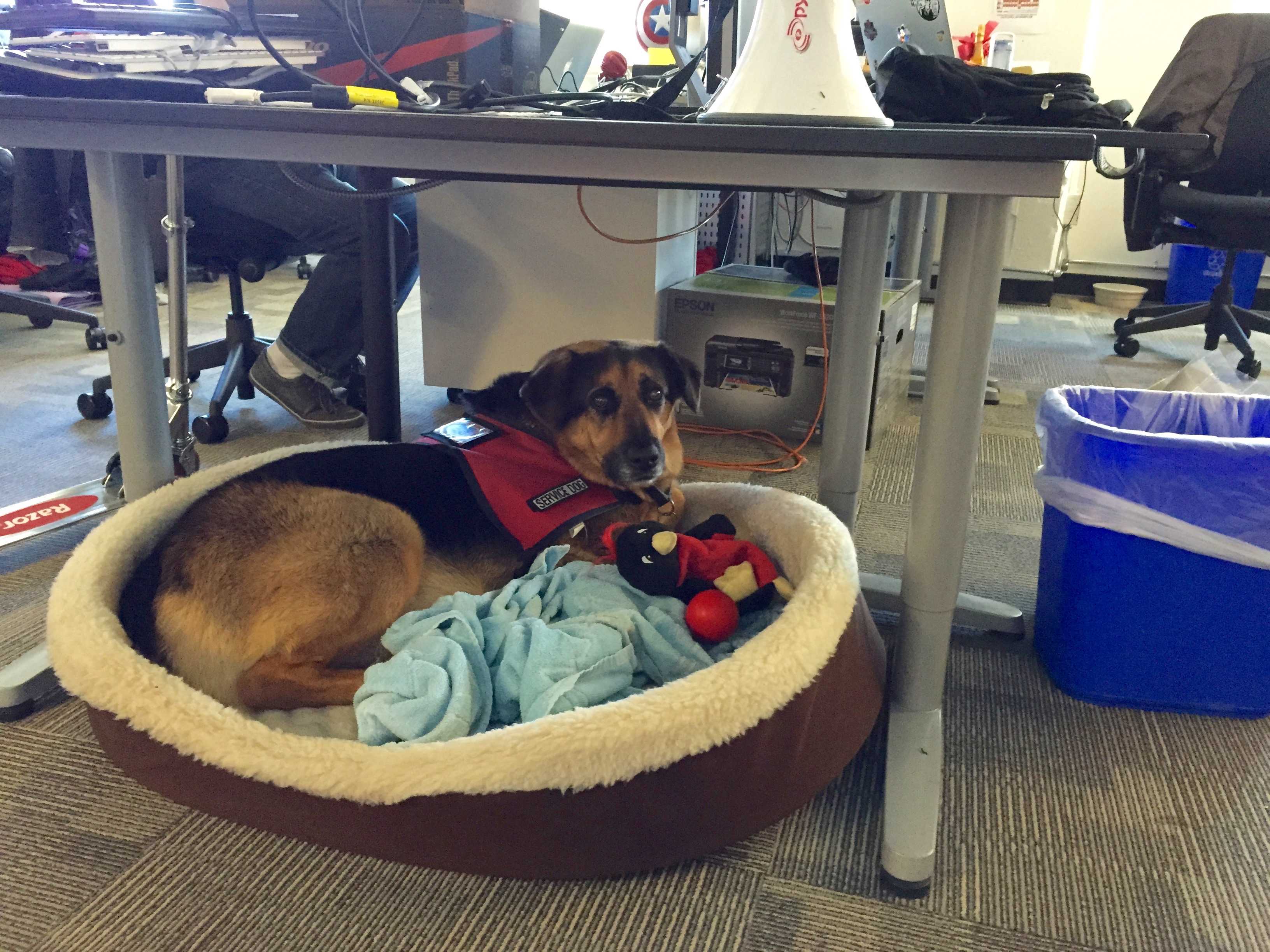 Cooper heeft zijn eigen bureau.