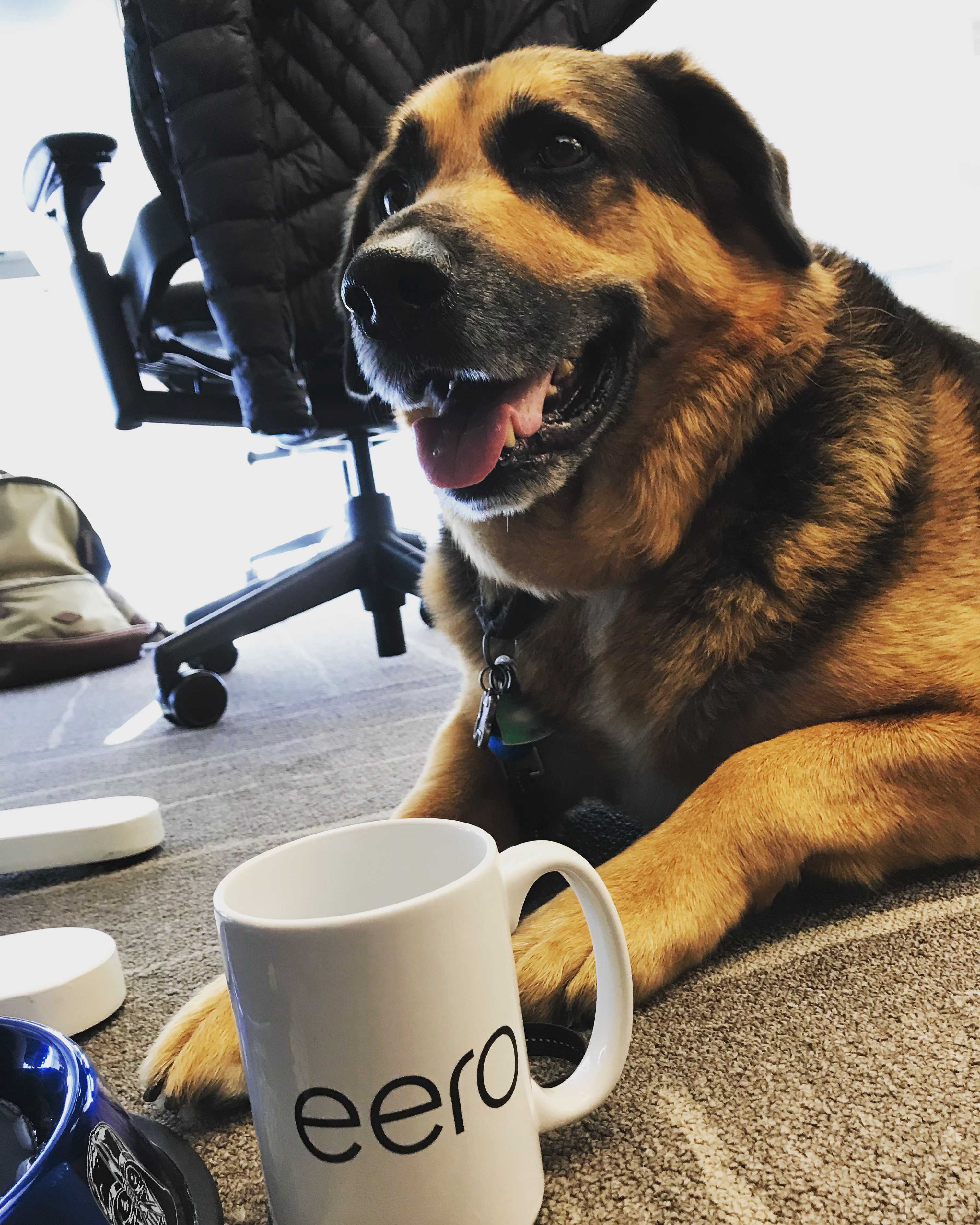 Eerste dag bij eero.