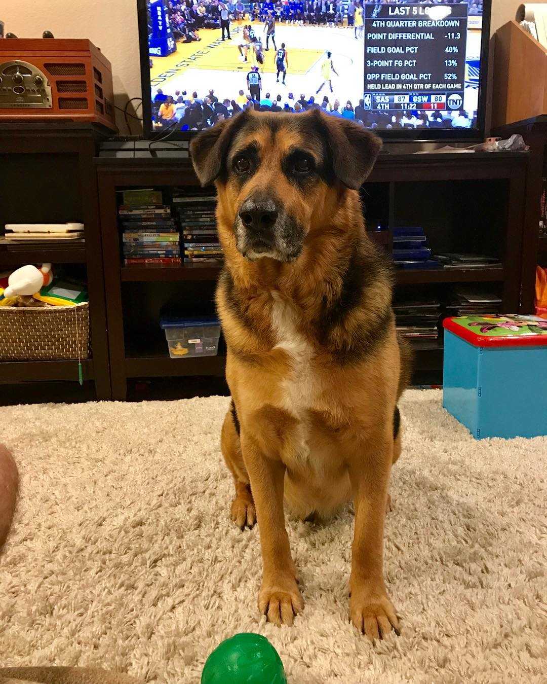 “I don’t care that it’s a close game… I WANT TREATS!”