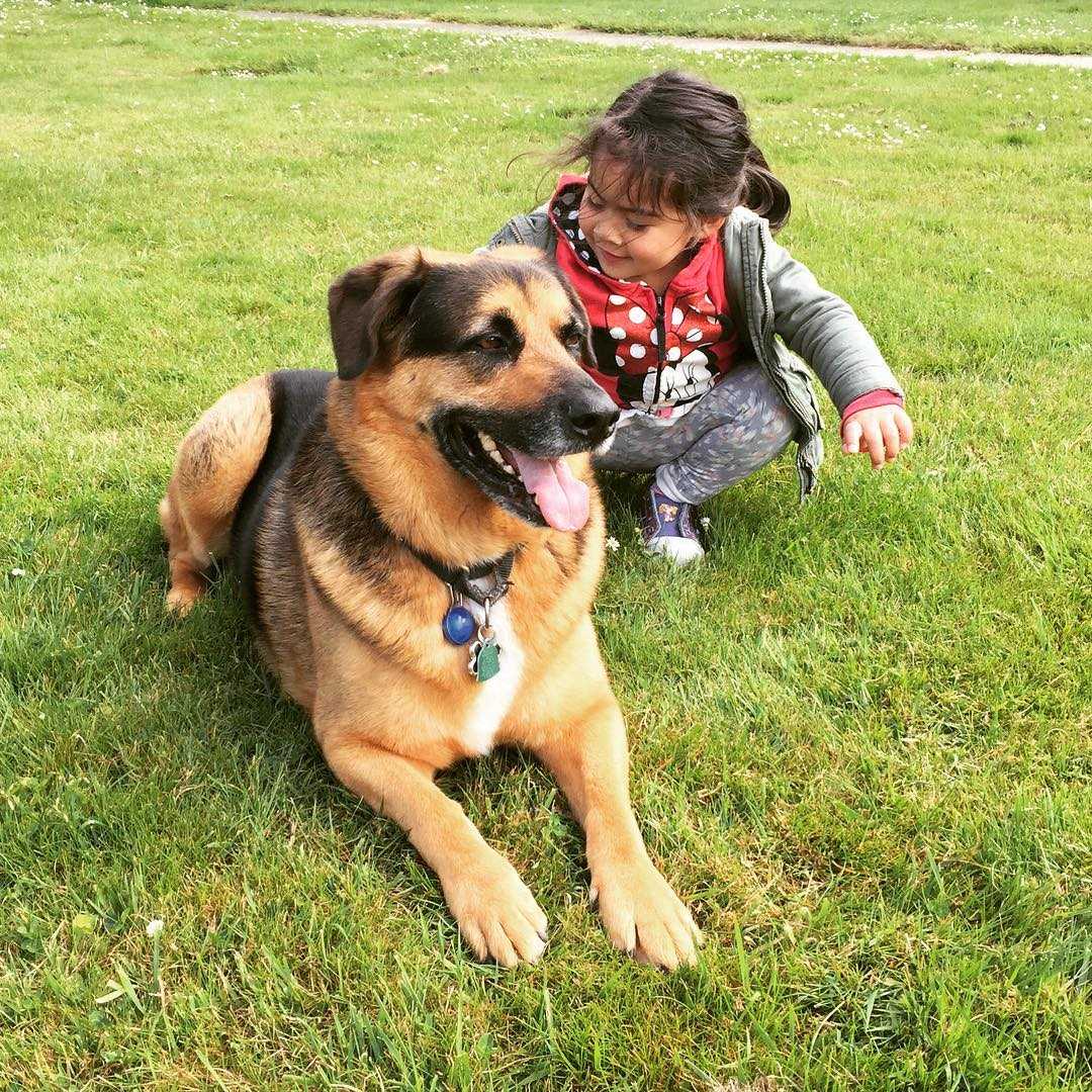 April 22, 2016 (12:21 am)