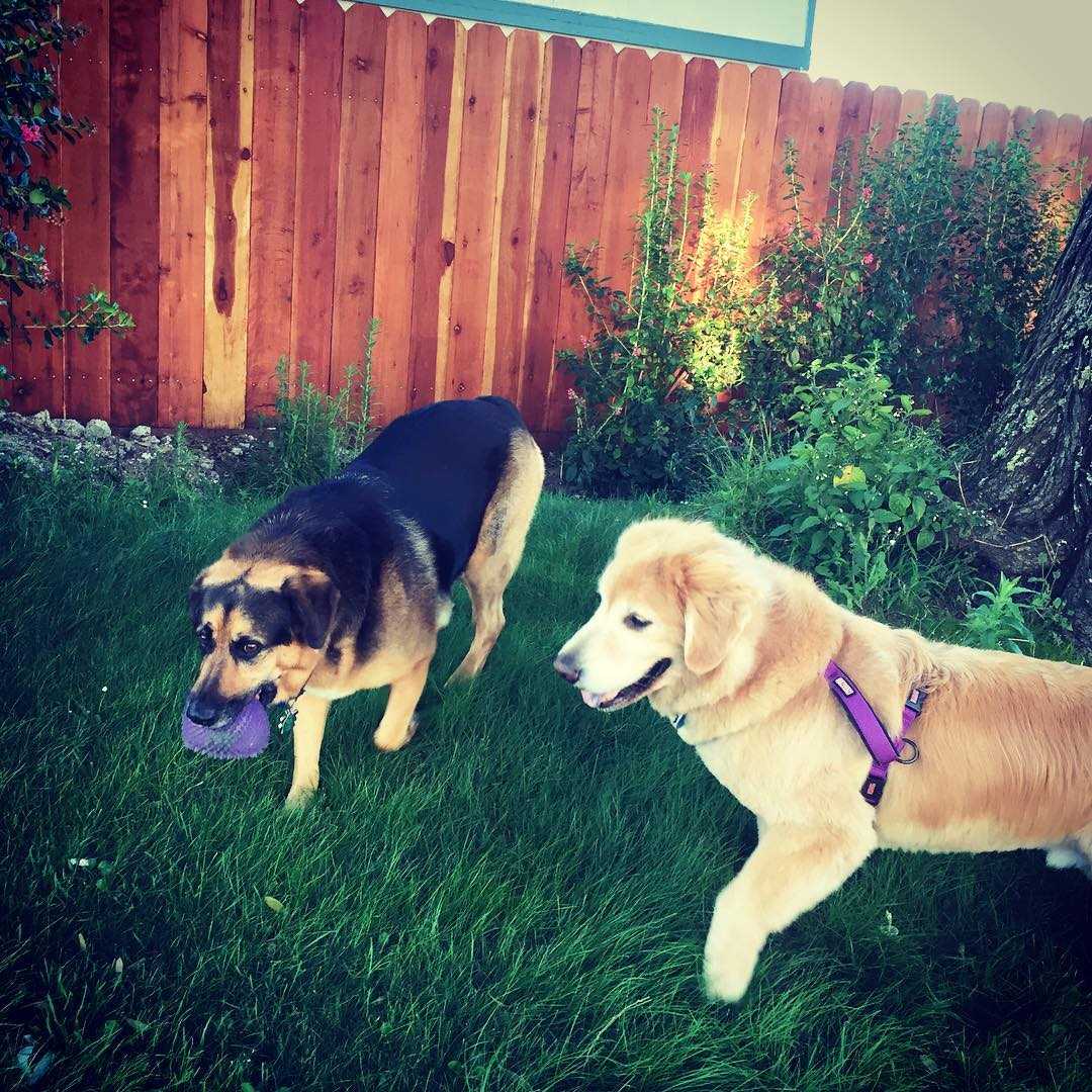 September 3, 2016 (4:19 am)