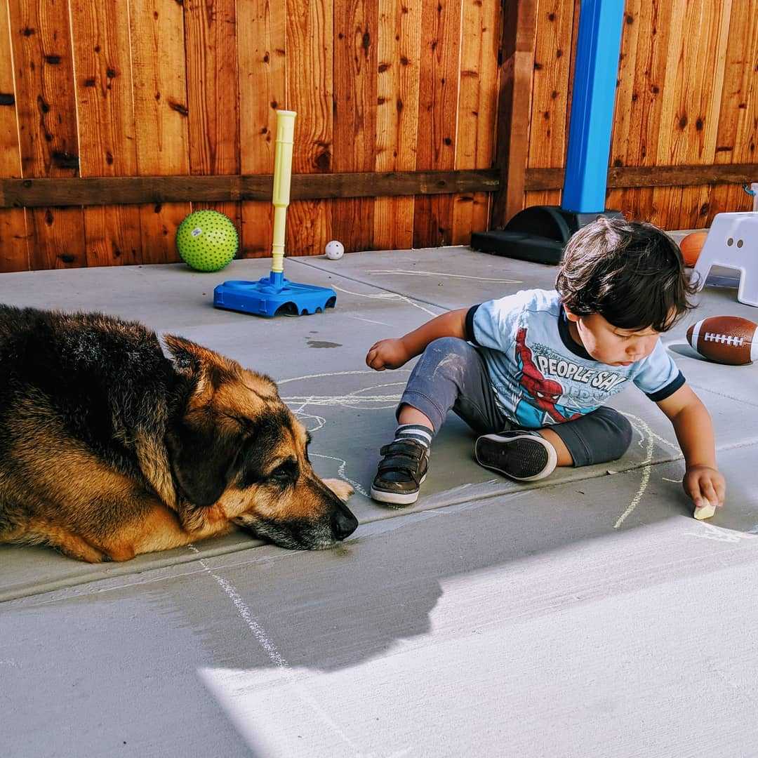 I love these guys :)