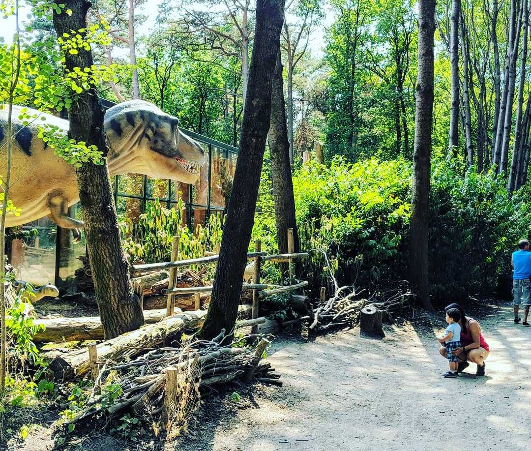 @meeshie_k explaining @brandonkater about the wonders of the T-Rex  